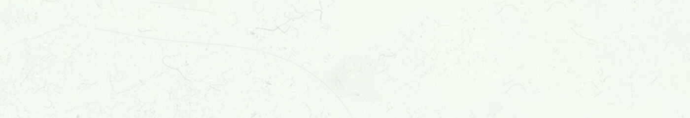 page-header-img